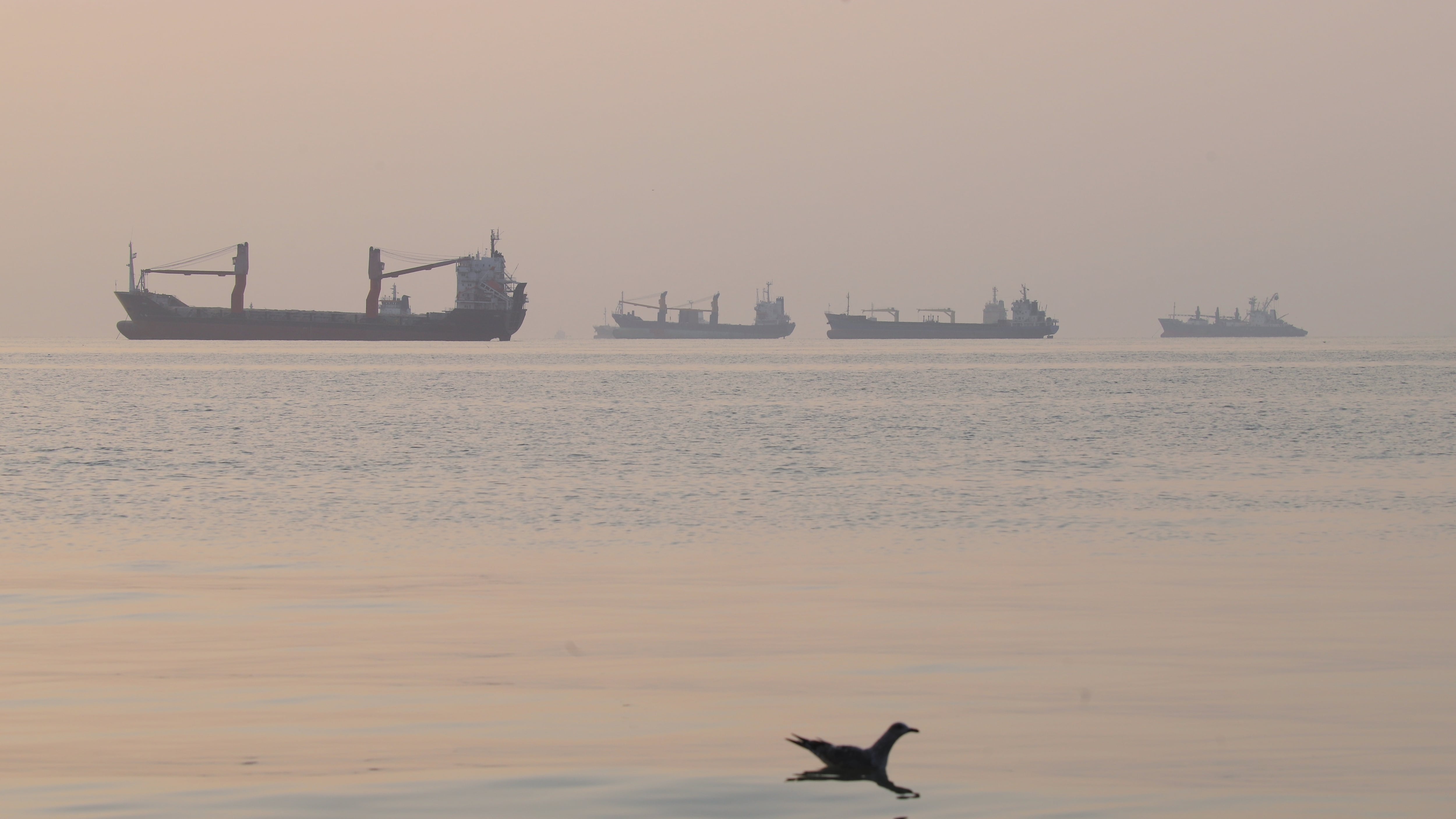 Three Oil Tankers Damaged by Naval Mines in Strait of Hormuz
